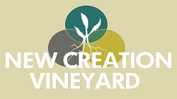 New Creation Vineyard logo